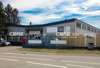 Local d'activité à louer Reichstett - Proche A4/A35 et transports