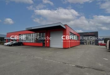 Location local d'activité Souffelweyersheim - Accès A4/A35 immédiat