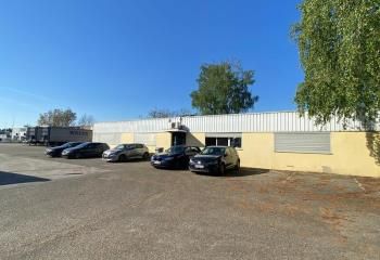 Location local d'activité Illkirch-Graffenstaden - Zone industrielle Sud