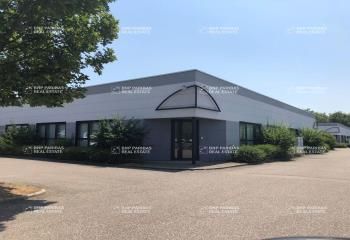 Location local d'activité Sausheim - Parc Entreprises