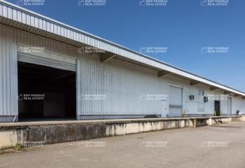 Location local d'activité Portet-sur-Garonne - Parc du Bois Vert