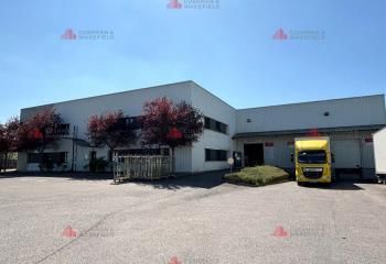 Locaux d'activités à vendre Longvic - Proximité rocade Est Dijon