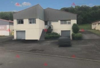 Locaux d'activités à vendre Châtillon-le-Duc - Proximité A36 et RN57