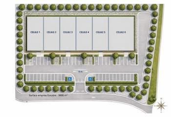 Entrepôt neuf à louer Saint-Martin-Boulogne - Proche A16