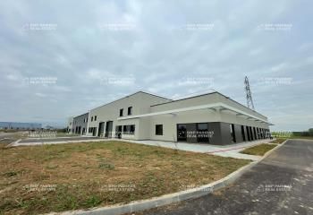 Locaux d'activité neufs à vendre Bergheim - 3000 m²