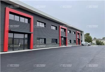 Locaux d'activités/showroom à louer Tours Nord - Proche A10