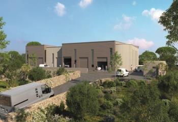 VEFA local d'activité Saint-Georges-d'Orques