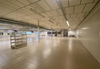 Bâtiment d'activité à louer Kervignac - Proche RN165 et Hennebont