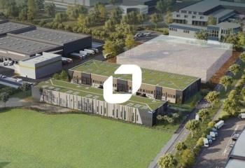 Location locaux d'activité Wissous - Proximité aéroport Orly et A10, A6