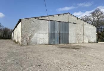 Vente entrepôt Ambarès-et-Lagrave - Proche Bordeaux