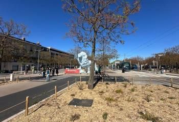 Location local commercial Bordeaux Bastide - Proche Pont de Pierre