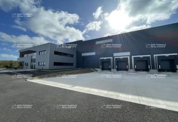 Entrepôt logistique neuf à louer Monswiller - Proche A4
