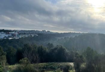 Vente bureaux Sophia Antipolis, Biot, proche Antibes et Nice