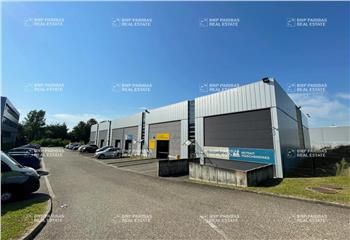 Locaux d'activité à louer Mundolsheim - Proche A4 et transports