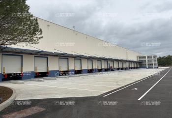 Location entrepôt logistique Classe A Vendargues - Proximité A709 et N113