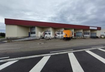 Local d'activité à louer Corbas - Accès direct A46 et aéroport