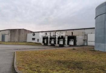 Bâtiment d'activités à vendre Meyzieu - Accès Rocade Est