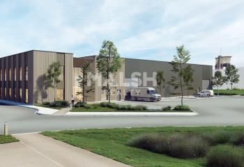 Local d'activité neuf à vendre Rillieux-la-Pape - Proximité autoroutes
