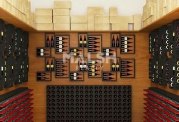 Caviste à vendre Lyon 2 Confluence