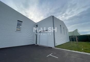 Local d'activité neuf à louer Chassieu - Proximité A43 et Rocade Est