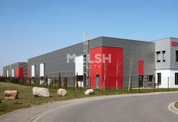 Local d'activités à louer Saint-Priest - Proximité autoroutes et transports