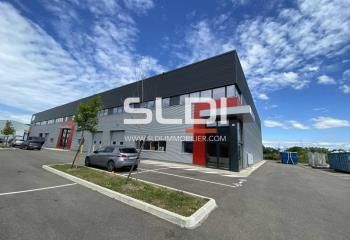 Location locaux d'activité Dagneux - Parc VEELAGE - A42 proche