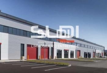 Location locaux d'activité Meyzieu - ZAC des Gaulnes