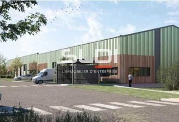 Local d'activité à louer Rillieux-la-Pape - Proximité A46 et bus TCL