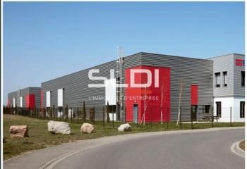 Local d'activité à louer Saint-Priest - Parc Technoland - Proximité Rocade Est