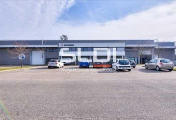 Location local d'activité Saint-Priest - Proche A43/A46