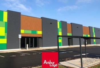 Local commercial à louer Anse - Proche A6 et A46