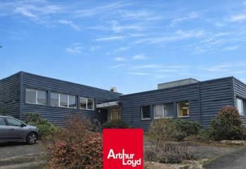 Locaux d'activité à vendre Limas - Proche D306 et A6