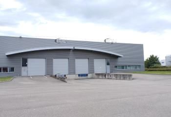 Location bureaux + dépôt Saint-Priest - Proche Parilly et transports