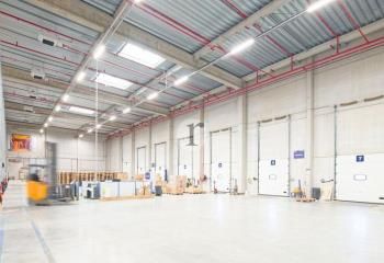 Cellule logistique à louer Neuville-en-Ferrain - Proche Belgique et transports