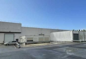 Local d'activité à louer Roissy-en-France - Proximité aéroport CDG