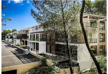 Location bureaux Valbonne Sophia Antipolis - Proche route des Lucioles