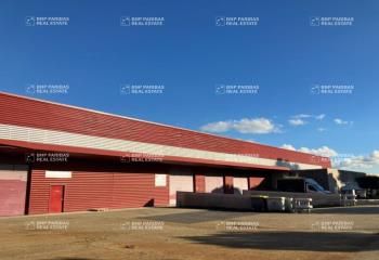 Location locaux d'activité Gallargues-le-Montueux - ZAC Pôle Actif