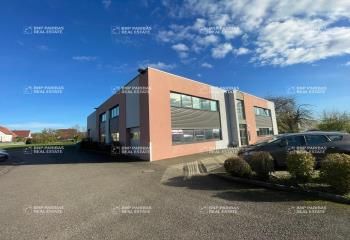 Location locaux d'activité et bureaux Bischoffsheim - Proche autoroutes