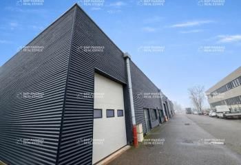 Locaux d'activité à vendre Bischheim - Proche tram et autoroutes