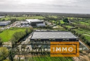 Location entrepôt Avignon - Proximité D6