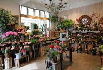 Local commercial à louer Fréjus - Zone commerciale