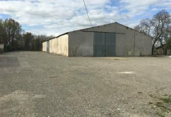 Location entrepôt Ambarès-et-Lagrave - Proche A10 et Rocade Bordelaise