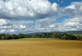 Terrain industriel à vendre - Courmelles, proche A4 et A26