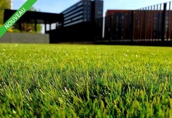 Location entrepôt industriel Châtellerault - Proche Poitiers et Tours