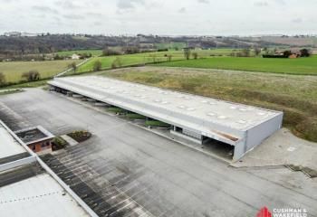 Entrepôt transporteur à louer Baziège - Proche A61 et rocade Sud