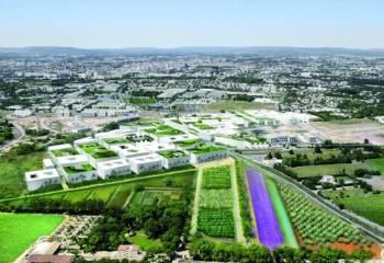 Terrain à vendre à Castelnau-le-Lez, proche A9 et gare TGV