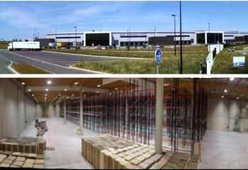 Location local d'activité Montbartier - Proche Toulouse - 55000 m² divisible