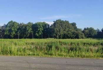 Terrain industriel à vendre - Lons, accès A64 et RER