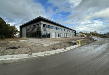 Location local d'activité Illkirch-Graffenstaden - Parc du Wiesel