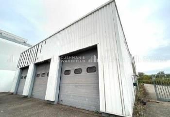 Local d'activité à louer Illkirch-Graffenstaden - Proximité Tram A